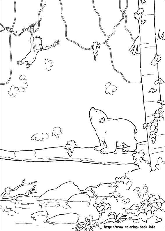 Little Polar Bear coloring picture